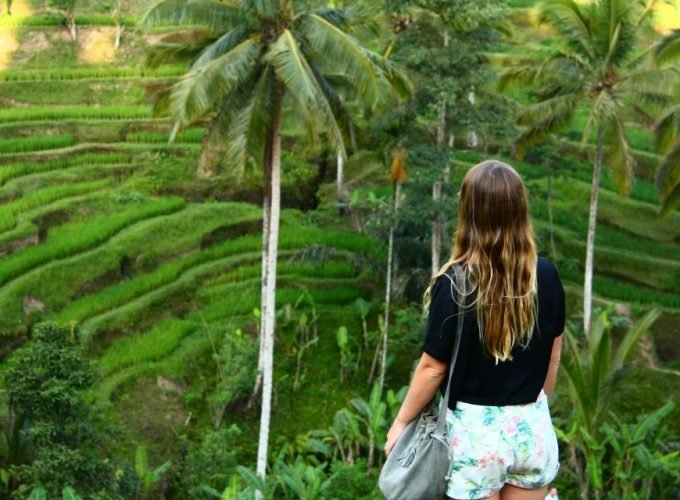 Bali Ubud Rice Terraces, Temples and Volcano Day Trip